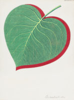 Etude Farrando