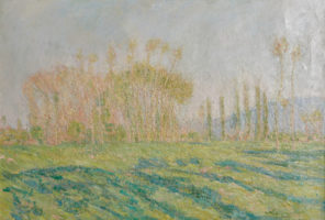 21230-11-1